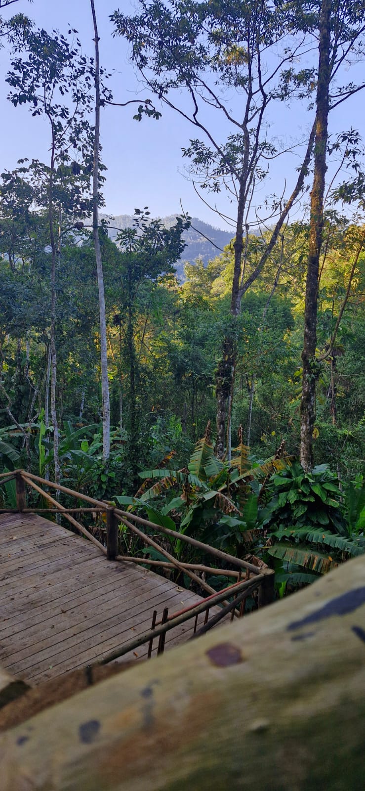 Vista frontal do conjunto